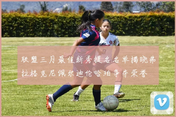 联盟三月最佳新秀提名名单揭晓弗拉格克尼佩尔迪伦哈珀争夺荣誉