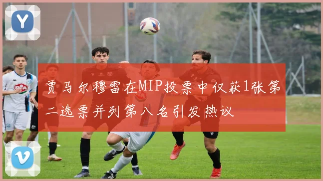 贾马尔穆雷在MIP投票中仅获1张第二选票并列第八名引发热议
